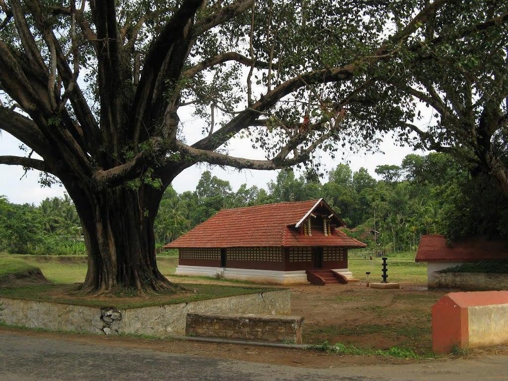 Wayanad Gate Resort Mananthavady Exteriér fotografie