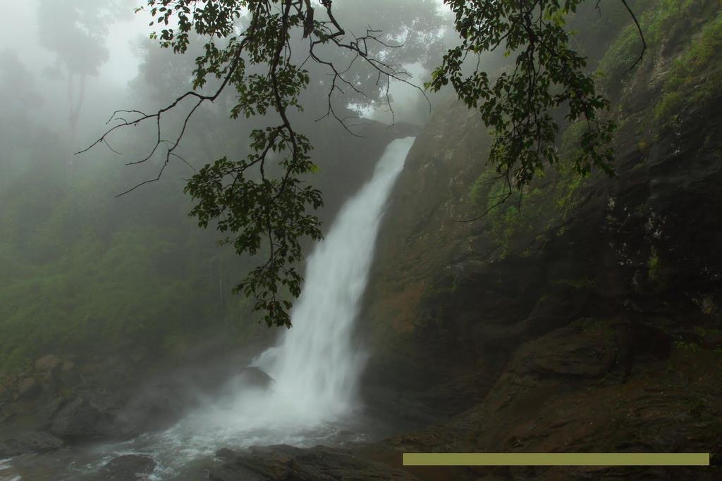 Wayanad Gate Resort Mananthavady Exteriér fotografie