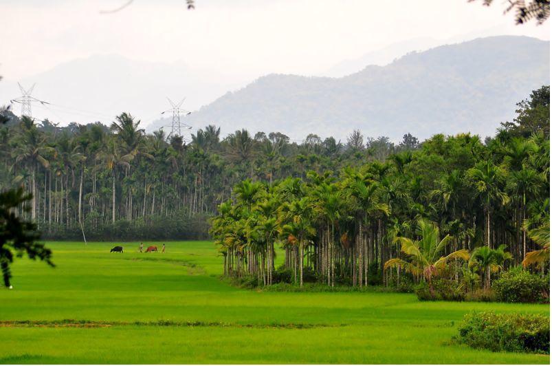 Wayanad Gate Resort Mananthavady Exteriér fotografie