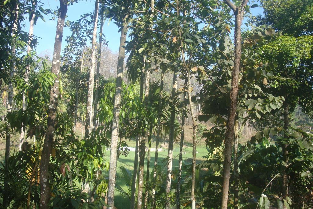Wayanad Gate Resort Mananthavady Exteriér fotografie